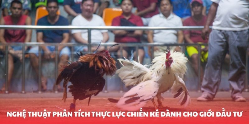 Nghệ thuật phân tích thực lực chiến kê dành cho giới đầu tư
