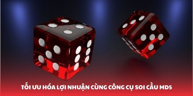 Tối ưu hóa lợi nhuận cùng công cụ soi cầu MD5